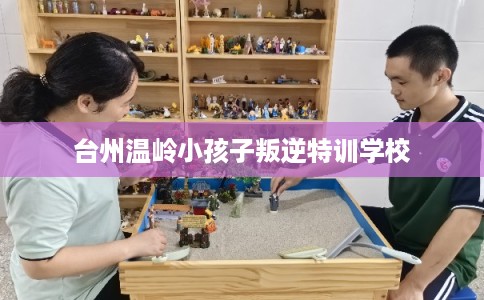 台州温岭小孩子叛逆特训学校