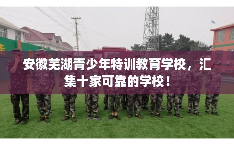 安徽芜湖青少年特训教育学校，汇集十家可靠的学校！