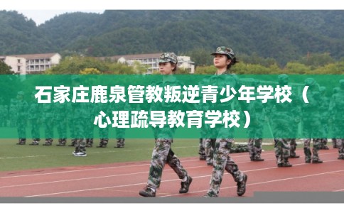 石家庄鹿泉管教叛逆青少年学校（心理疏导教育学校）