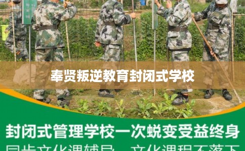 奉贤叛逆教育封闭式学校