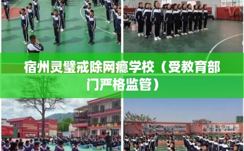宿州灵璧戒除网瘾学校（受教育部门严格监管）