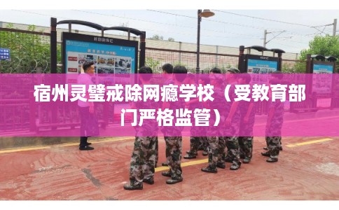 宿州灵璧戒除网瘾学校（受教育部门严格监管）