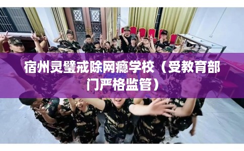 宿州灵璧戒除网瘾学校（受教育部门严格监管）