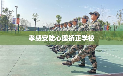孝感安陆心理矫正学校 孝感安陆心理矫正学校