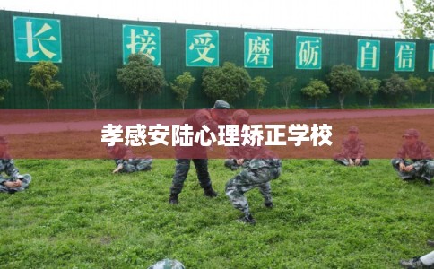 孝感安陆心理矫正学校