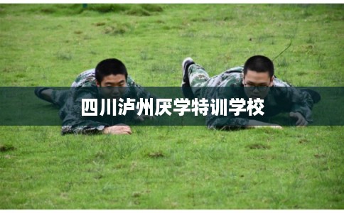 四川泸州厌学特训学校 四川泸州厌学特训学校