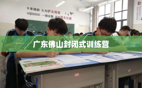 广东佛山封闭式训练营 广东佛山封闭式训练营