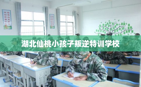湖北仙桃小孩子叛逆特训学校 湖北仙桃小孩子叛逆特训学校
