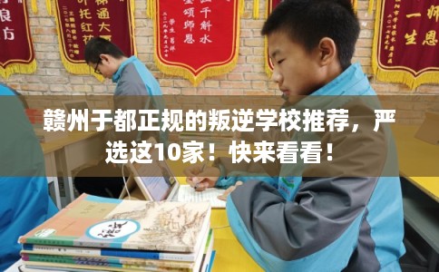 赣州于都正规的叛逆学校推荐，严选这10家！快来看看！