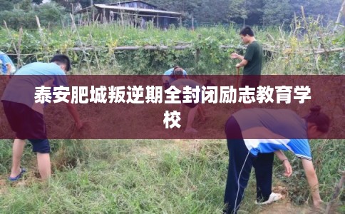 泰安肥城叛逆期全封闭励志教育学校