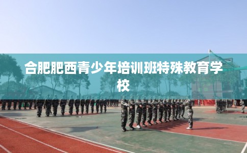 合肥肥西青少年培训班特殊教育学校 合肥肥西青少年培训班特殊教育学校