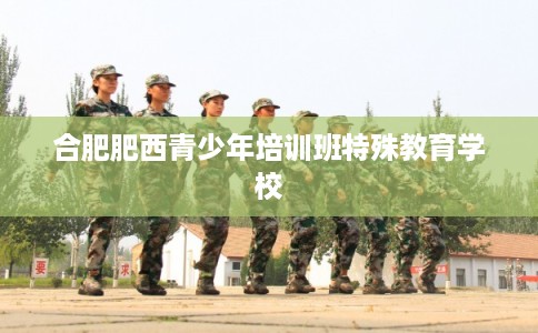 合肥肥西青少年培训班特殊教育学校