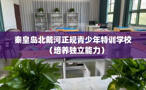 秦皇岛北戴河正规青少年特训学校（培养独立能力）