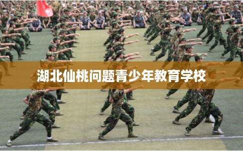 湖北仙桃问题青少年教育学校