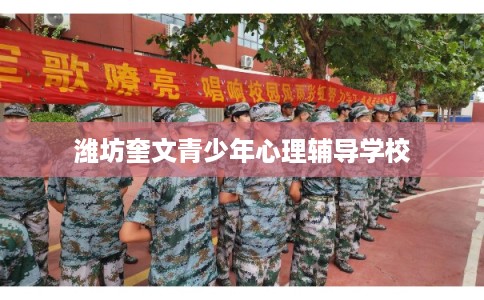 潍坊奎文青少年心理辅导学校