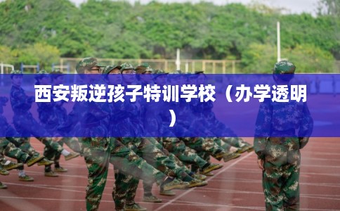西安叛逆孩子特训学校(办学透明) 西安叛逆孩子特训学校(办学透明)