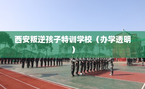 西安叛逆孩子特训学校(办学透明) 西安叛逆孩子特训学校(办学透明)