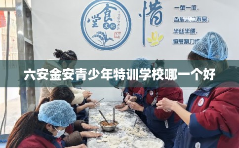 六安金安青少年特训学校哪一个好