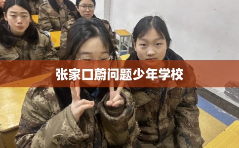 张家口蔚问题少年学校 张家口蔚问题少年学校