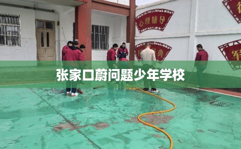 张家口蔚问题少年学校 张家口蔚问题少年学校