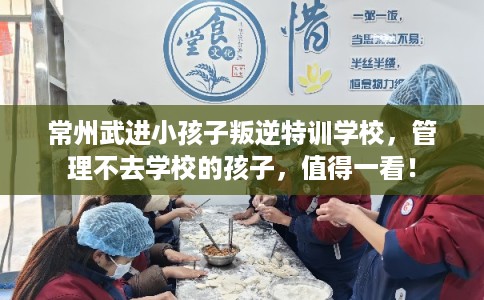 常州武进小孩子叛逆特训学校，管理不去学校的孩子，值得一看！