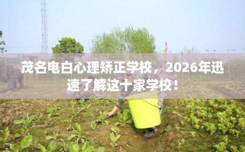 茂名电白心理矫正学校，2026年迅速了解这十家学校！
