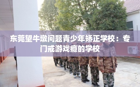 东莞望牛墩问题青少年矫正学校:专门戒游戏瘾的学校 东莞望牛墩问题青少年矫正学校:专门戒游戏瘾的学校