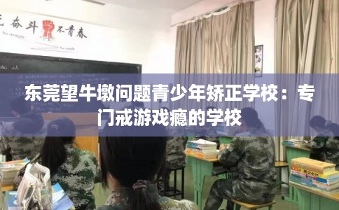 东莞望牛墩问题青少年矫正学校:专门戒游戏瘾的学校 东莞望牛墩问题青少年矫正学校:专门戒游戏瘾的学校