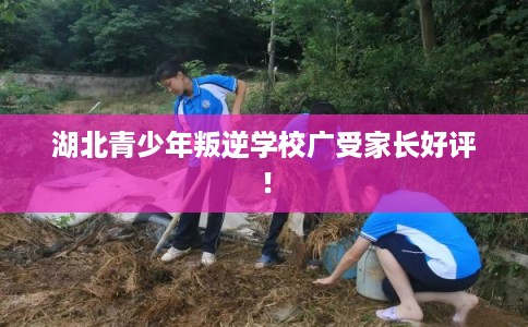 湖北青少年叛逆学校广受家长好评！
