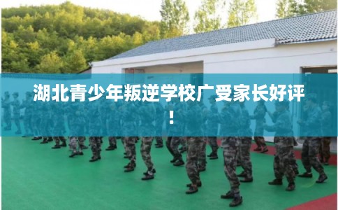 湖北青少年叛逆学校广受家长好评！