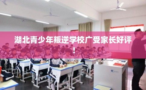 湖北青少年叛逆学校广受家长好评！