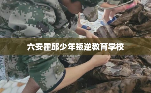 六安霍邱少年叛逆教育学校 六安霍邱少年叛逆教育学校