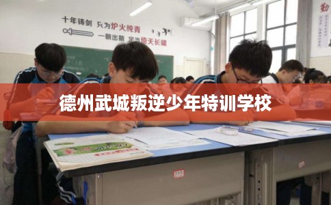 德州武城叛逆少年特训学校 德州武城叛逆少年特训学校