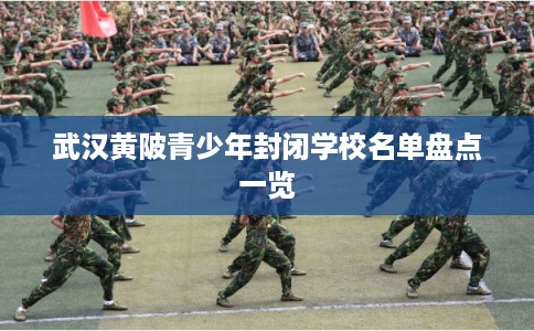 武汉黄陂青少年封闭学校名单盘点一览 武汉黄陂青少年封闭学校名单盘点一览