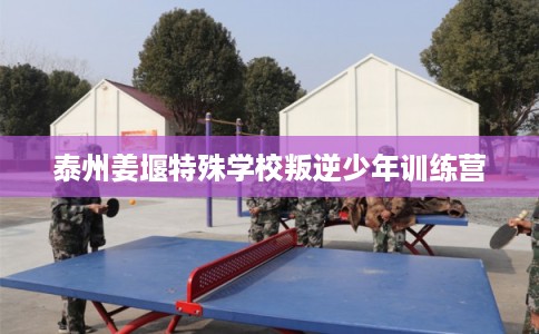 泰州姜堰特殊学校叛逆少年训练营