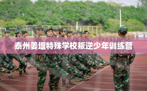 泰州姜堰特殊学校叛逆少年训练营