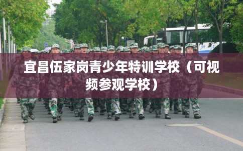 宜昌伍家岗青少年特训学校（可视频参观学校）