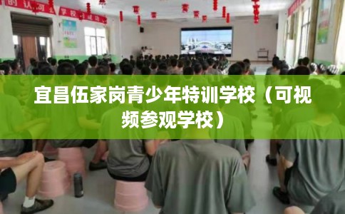 宜昌伍家岗青少年特训学校（可视频参观学校）