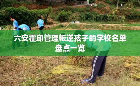 六安霍邱管理叛逆孩子的学校名单盘点一览 六安霍邱管理叛逆孩子的学校名单盘点一览