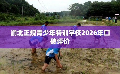 渝北正规青少年特训学校2026年口碑评价