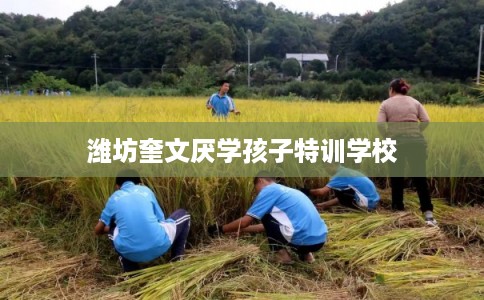 潍坊奎文厌学孩子特训学校