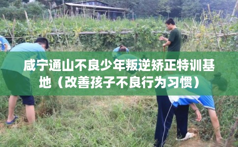 咸宁通山不良少年叛逆矫正特训基地（改善孩子不良行为习惯）
