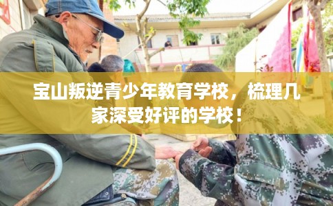 宝山叛逆青少年教育学校，梳理几家深受好评的学校！