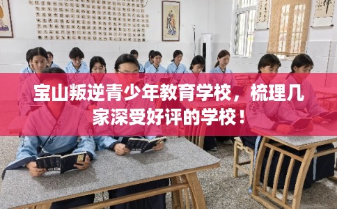 宝山叛逆青少年教育学校，梳理几家深受好评的学校！