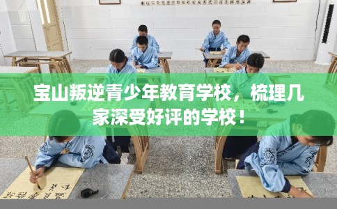 宝山叛逆青少年教育学校，梳理几家深受好评的学校！