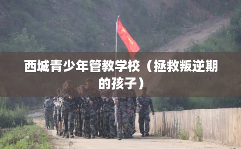 西城青少年管教学校（拯救叛逆期的孩子）