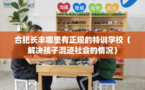 合肥长丰哪里有正规的特训学校（解决孩子混迹社会的情况）