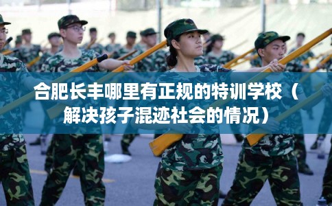 合肥长丰哪里有正规的特训学校（解决孩子混迹社会的情况）