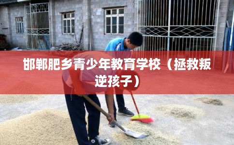 邯郸肥乡青少年教育学校(拯救叛逆孩子) 邯郸肥乡青少年教育学校(拯救叛逆孩子)