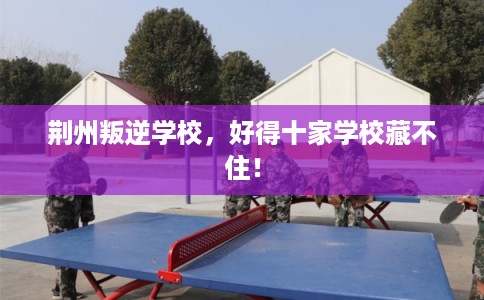 荆州叛逆学校，好得十家学校藏不住！